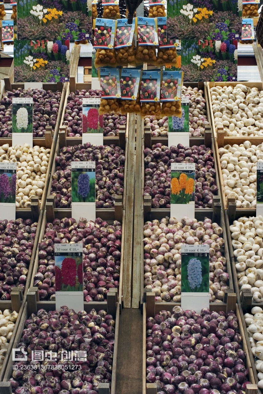 阿姆斯特丹花市 當(dāng)鮮花與針紡織品相遇的獨特魅力